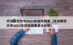 中法航空大学2023年招生简章（中法航空大学2023年招生简章多少分数）