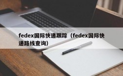 fedex国际快递跟踪（fedex国际快递路线查询）