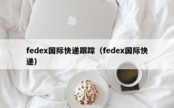 fedex国际快递跟踪（fedex国际快递）