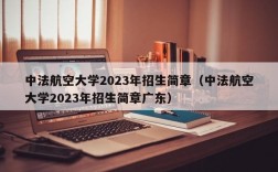 中法航空大学2023年招生简章（中法航空大学2023年招生简章广东）